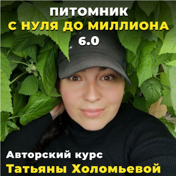 upload_2024-3-24_15-5-19.png